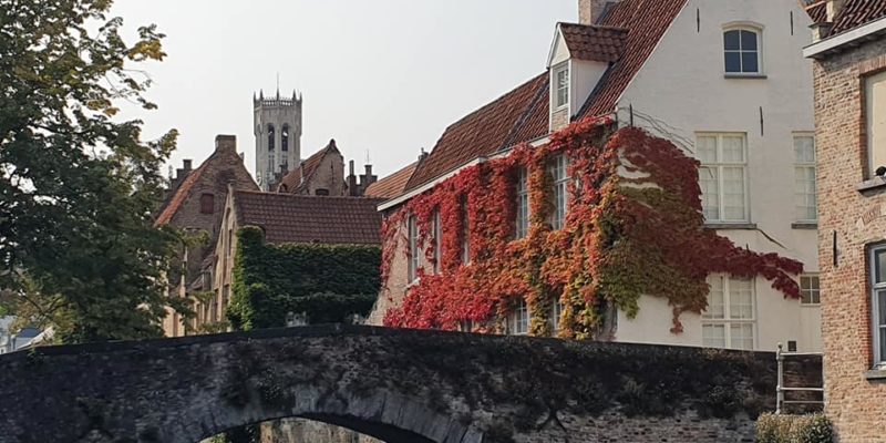 How To Experience the Belfry of Bruges ?