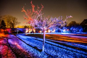 Winter Glow 2023: A Festive Extravaganza in Bruges